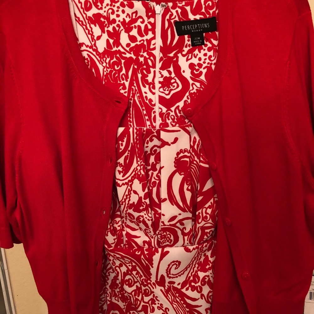 Perceptions plus size dress